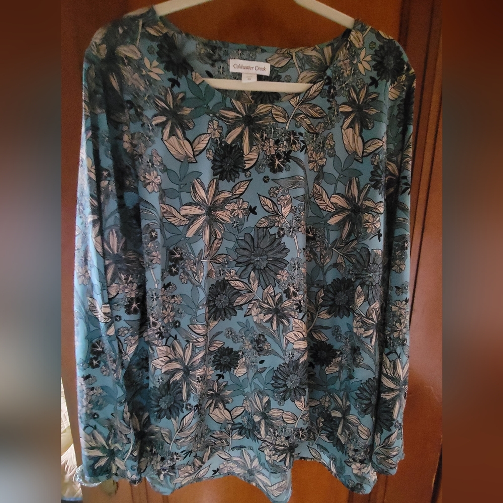 Woman's plus sized blouse with back detail